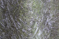 Fossebridge fibreglass roof work